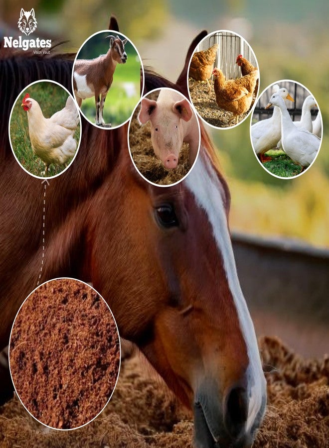 Nelgates Coco peat for Reptile,Cow, Hen, Pig, Goat Bedding, Natural Coco peat 1kg - Image 4